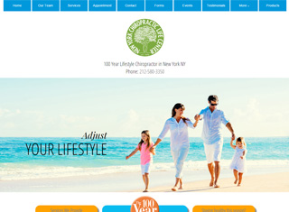 Chiropractor Web Design Design Example