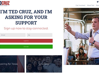 Political Web Design Design Example