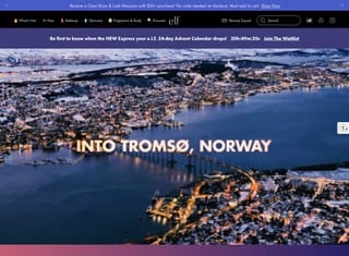 Ecommerce Web Design Design Example