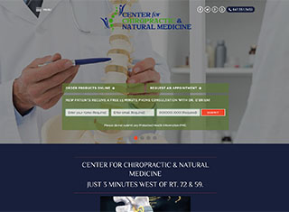Chiropractor Web Design Design Example