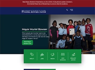 Political Web Design Design Example