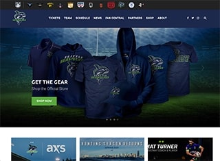 Sports Web Design Design Example