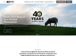 Charity Web Design Design Example