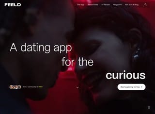 Dating Web Design Design Example