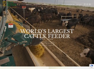 Agriculture Web Design Design Example