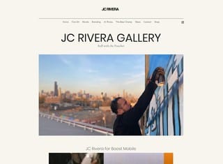Artist Web Design Design Example