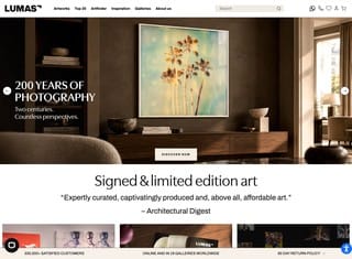 Artist Web Design Design Example