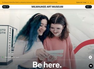 Artist Web Design Design Example