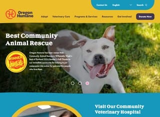 Charity Web Design Design Example