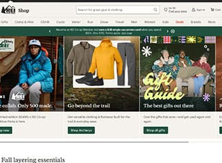 Ecommerce Web Design Design Example