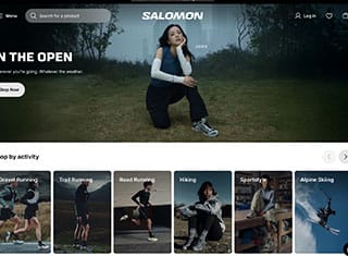 Ecommerce Web Design Design Example