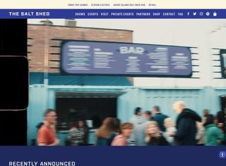 Entertainment Web Design Design Example