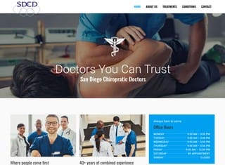 Chiropractor Web Design Design Example