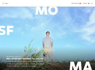 Artist Web Design Design Example