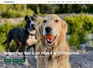 Charity Web Design Design Example