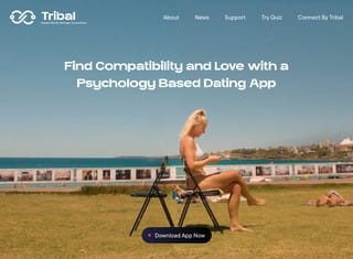 Dating Web Design Design Example