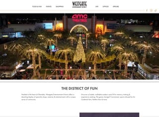 Entertainment Web Design Design Example