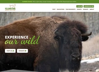 Charity Web Design Design Example