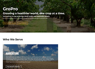 Websites Portfolio