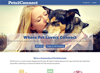 Websites Portfolio